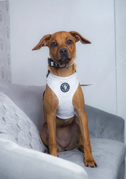 ALASKA Adjustable Harness by Wolfie + Me-0